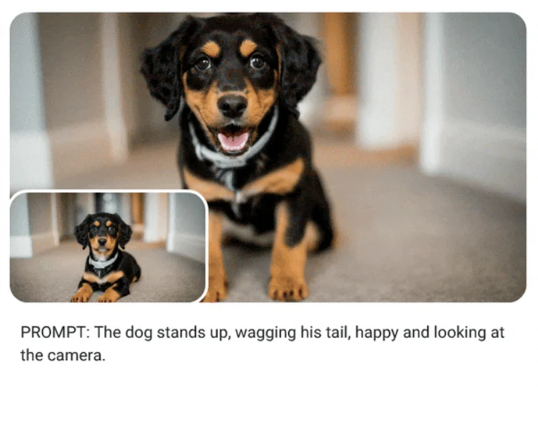 Example of Veo image-to-video generation